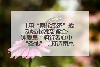 用“两轮经济”撬动城市潮流 紫金·钟爱里：骑行者心中“圣地”，打造南京的“阿那亚”